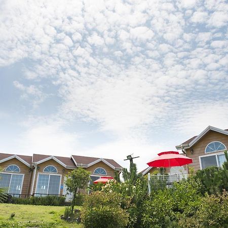 Healing House Villa Сеогвипо Екстериор снимка