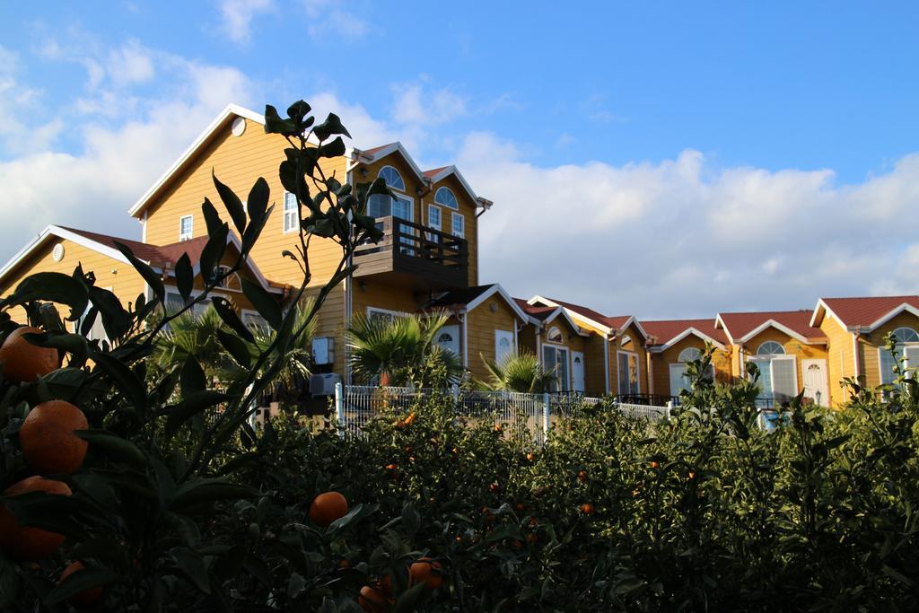Healing House Villa Сеогвипо Екстериор снимка